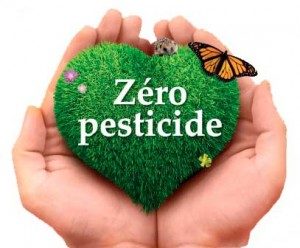 zero-pesticides-300x248-2