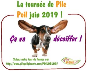 MONTAGE CHIEN TOURNEE JUIN 2019-1