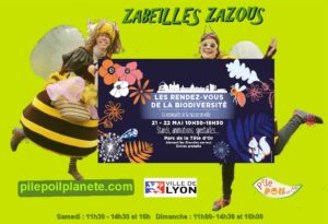 MONTAGE ZABEILLES LYON